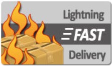 Lightning Fast Delivery